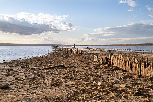 沙滩一个死湖和古老的盐原木从水里探出风景天空自然