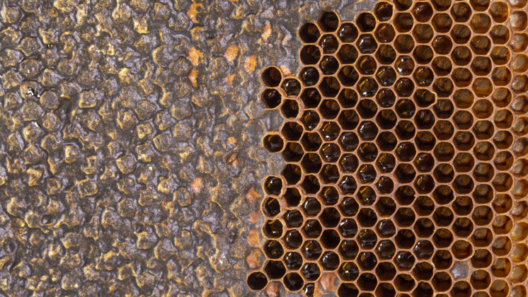 蜂蜜黄色蜂窝状纹理六边形蜂窝甜