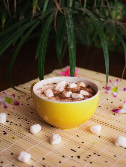 可可有选择的焦点拍摄美味的热巧克力在一个杯子与棉花糖棉花糖杯子热巧克力