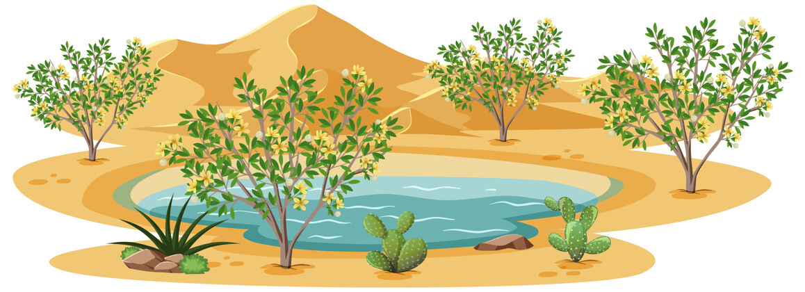 池塘白底野生沙漠中的杂酚油灌木植物绿洲干旱树