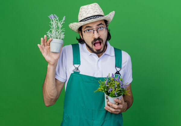 年轻年轻的留着胡须的园丁 穿着连体衣 戴着帽子 手里拿着盆栽植物 感到困惑和惊讶植物是连身衣