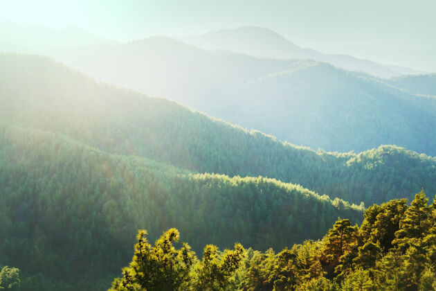 森林阿拉斯加山上的夏日青山自然绿色风景